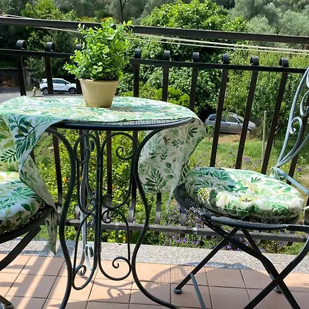 Andora Tra Gli Ulivi *